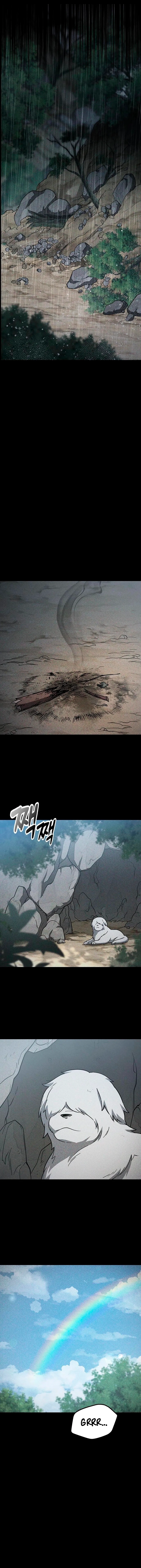 Pagina 11