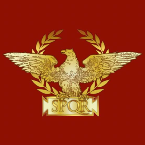 Roma Scan