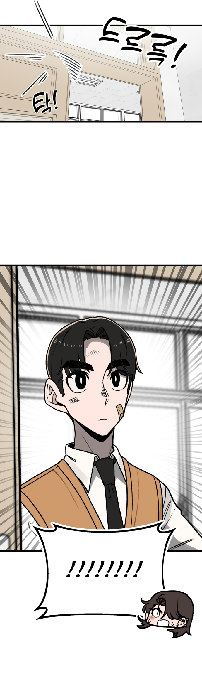 Pagina 12